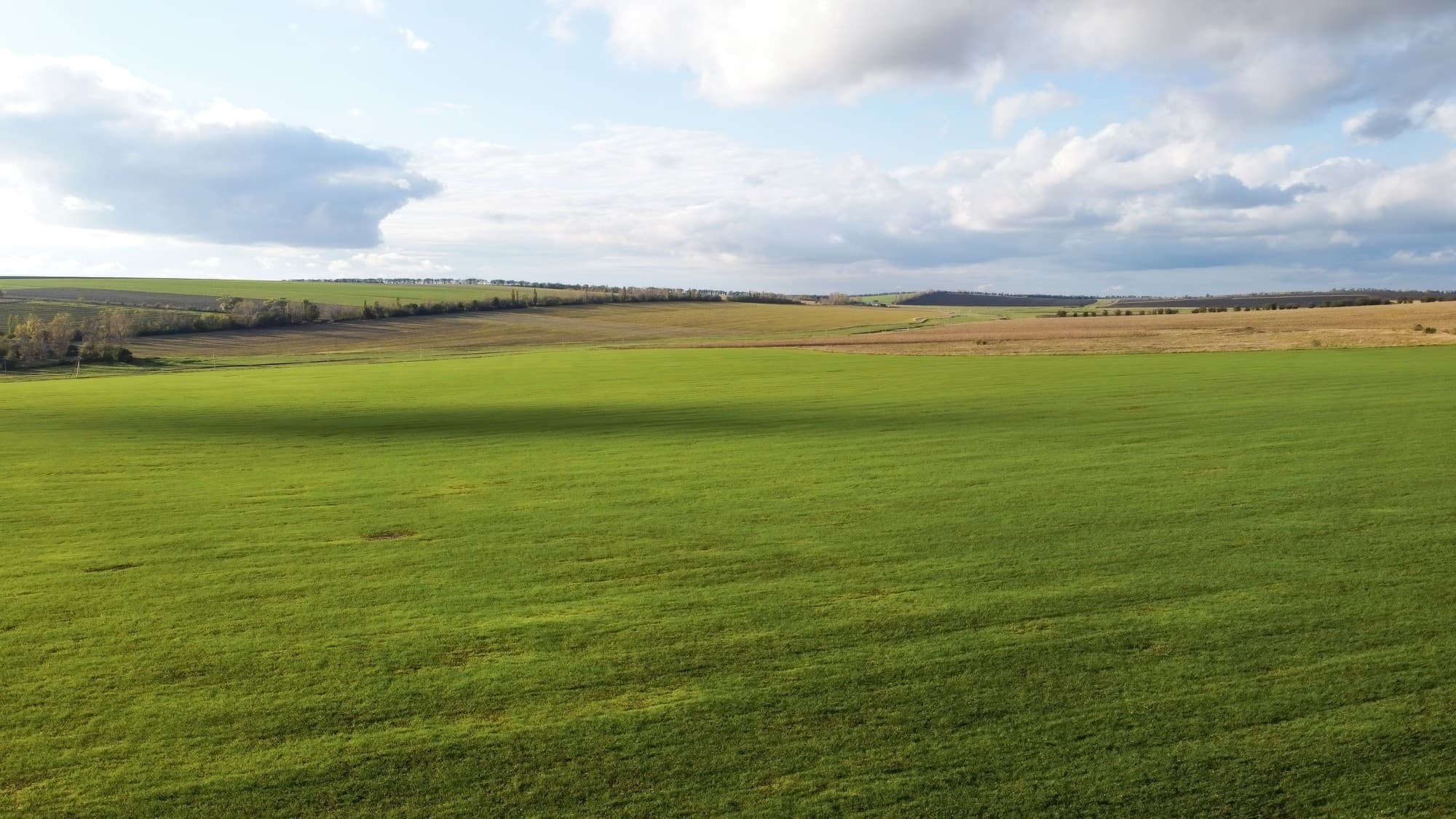 Campo de capim ao entardecer Campo de capim ao entardecer