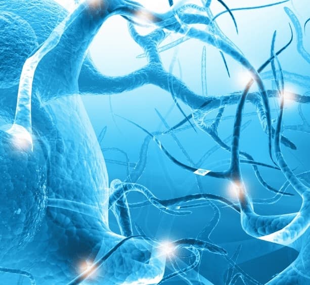 Ilustração de neurônios