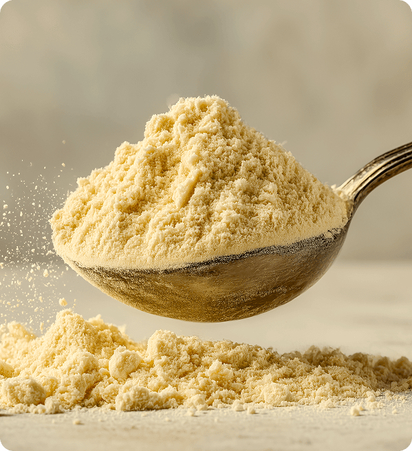 Whey Protein Hidrolisado Whey Protein Hidrolisado