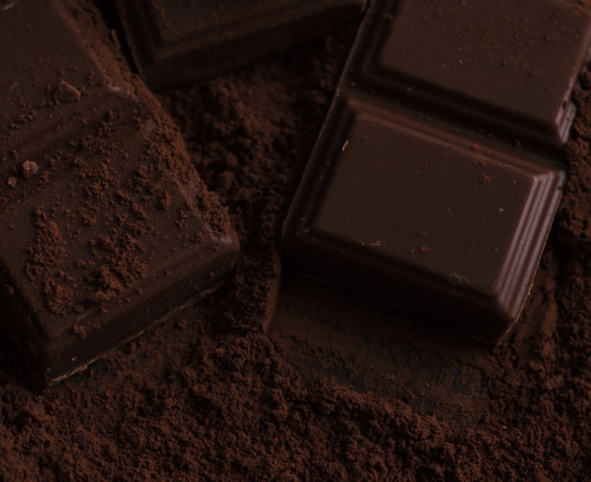 Cubos de chocolate amargo sobre cacau em pó