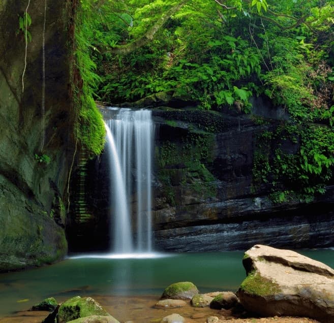 Cachoeira em meio a mata nativa