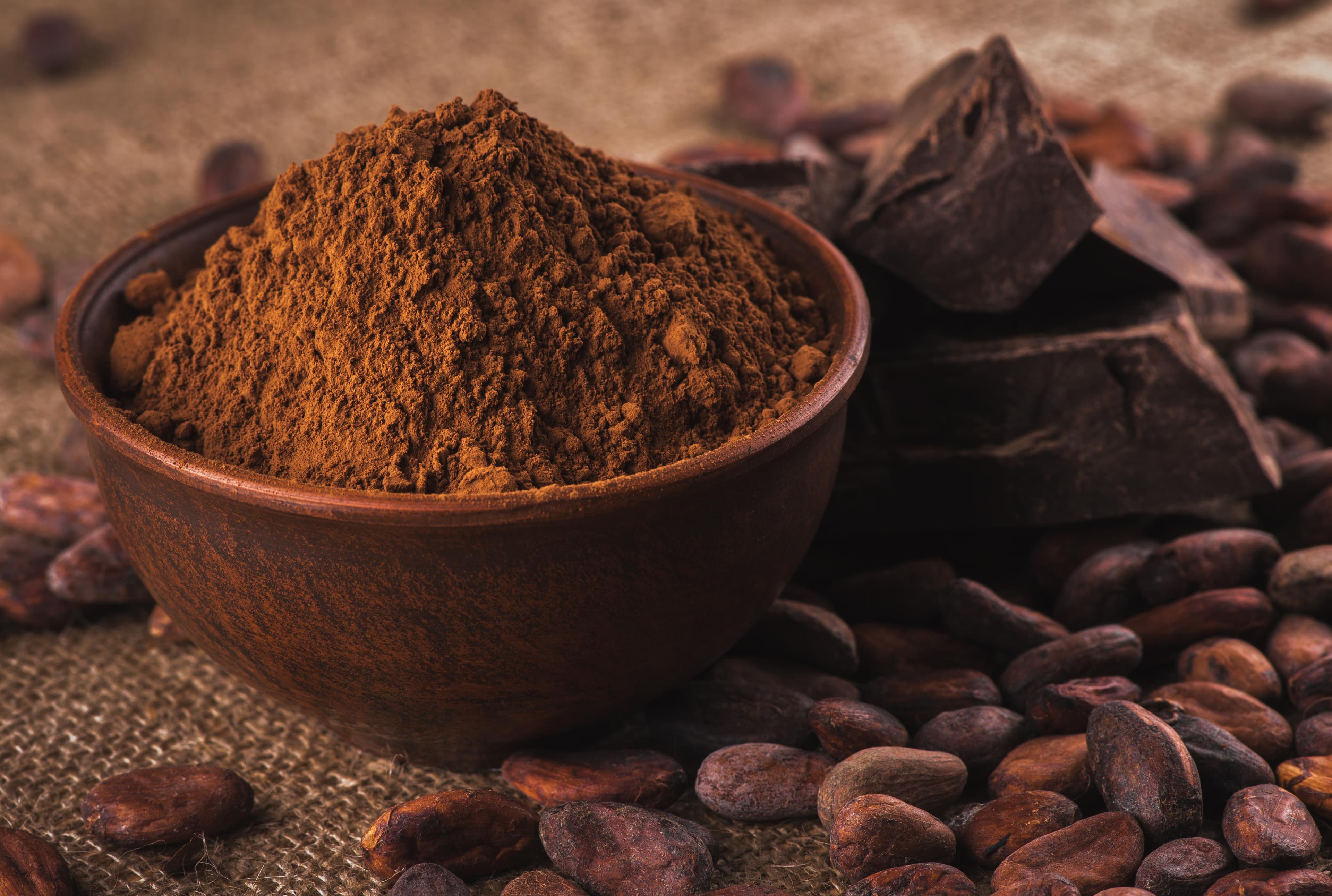 Tigela de barro com cacau em pó e pedaços de chocolate Tigela de barro com cacau em pó e pedaços de chocolate