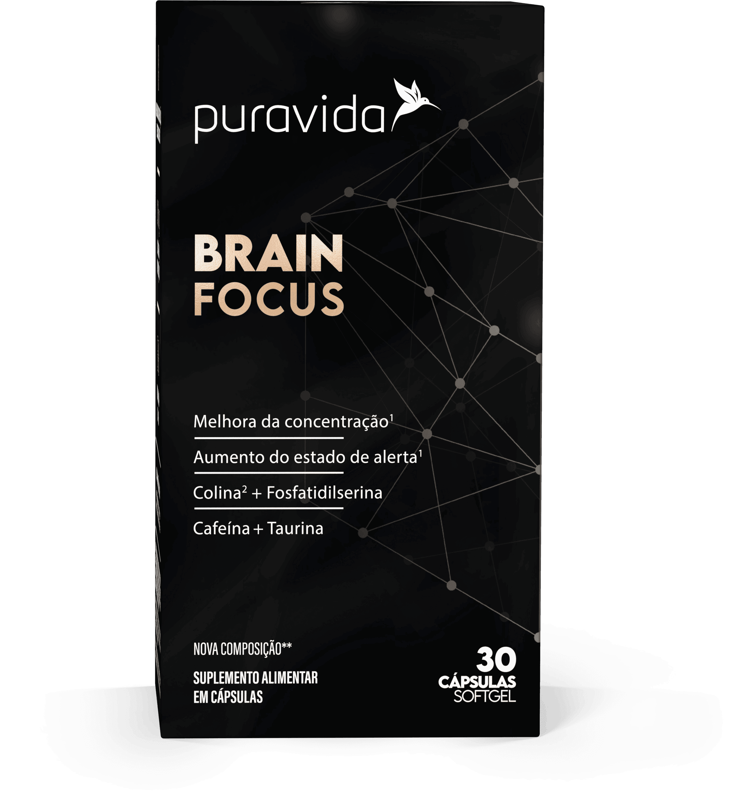 Brain Focus Brain Focus